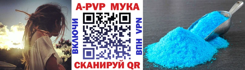 Альфа ПВП СК  Калининец 