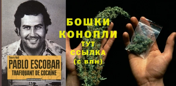 твердый Богданович