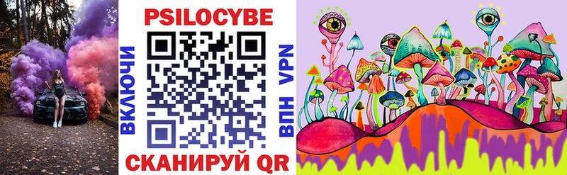 ОМГ ОМГ tor  цена наркотик  Калининец  Псилоцибиновые грибы Psilocybine cubensis 